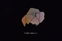 藏品(陶甑)的圖片